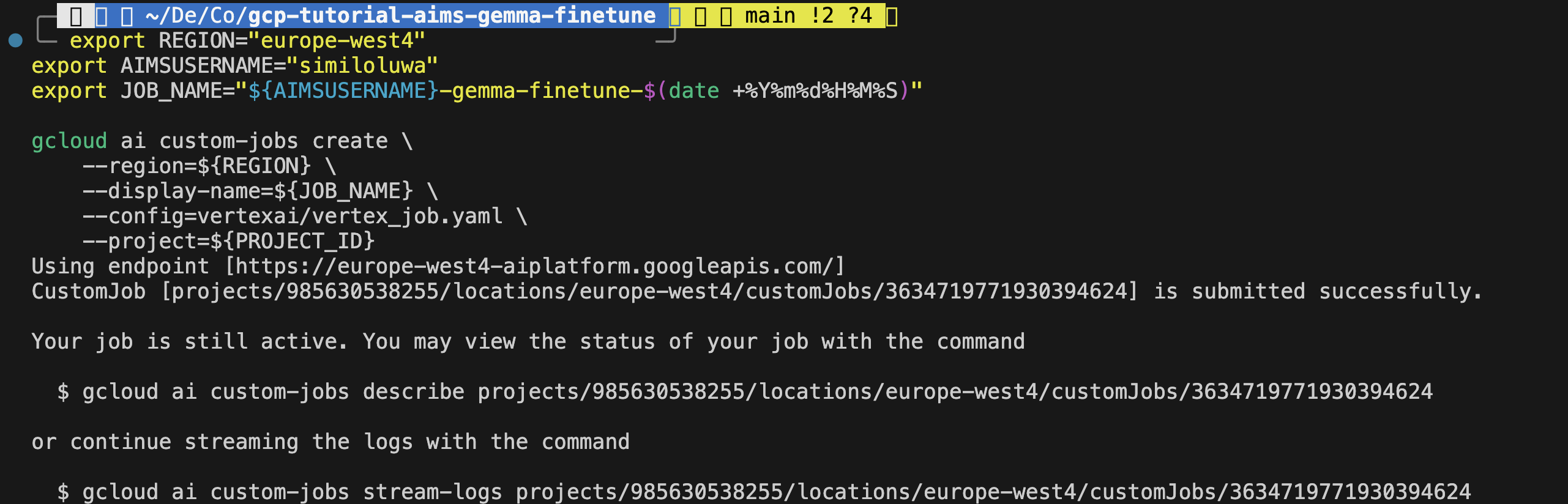 Custom Vertex AI training job submitted