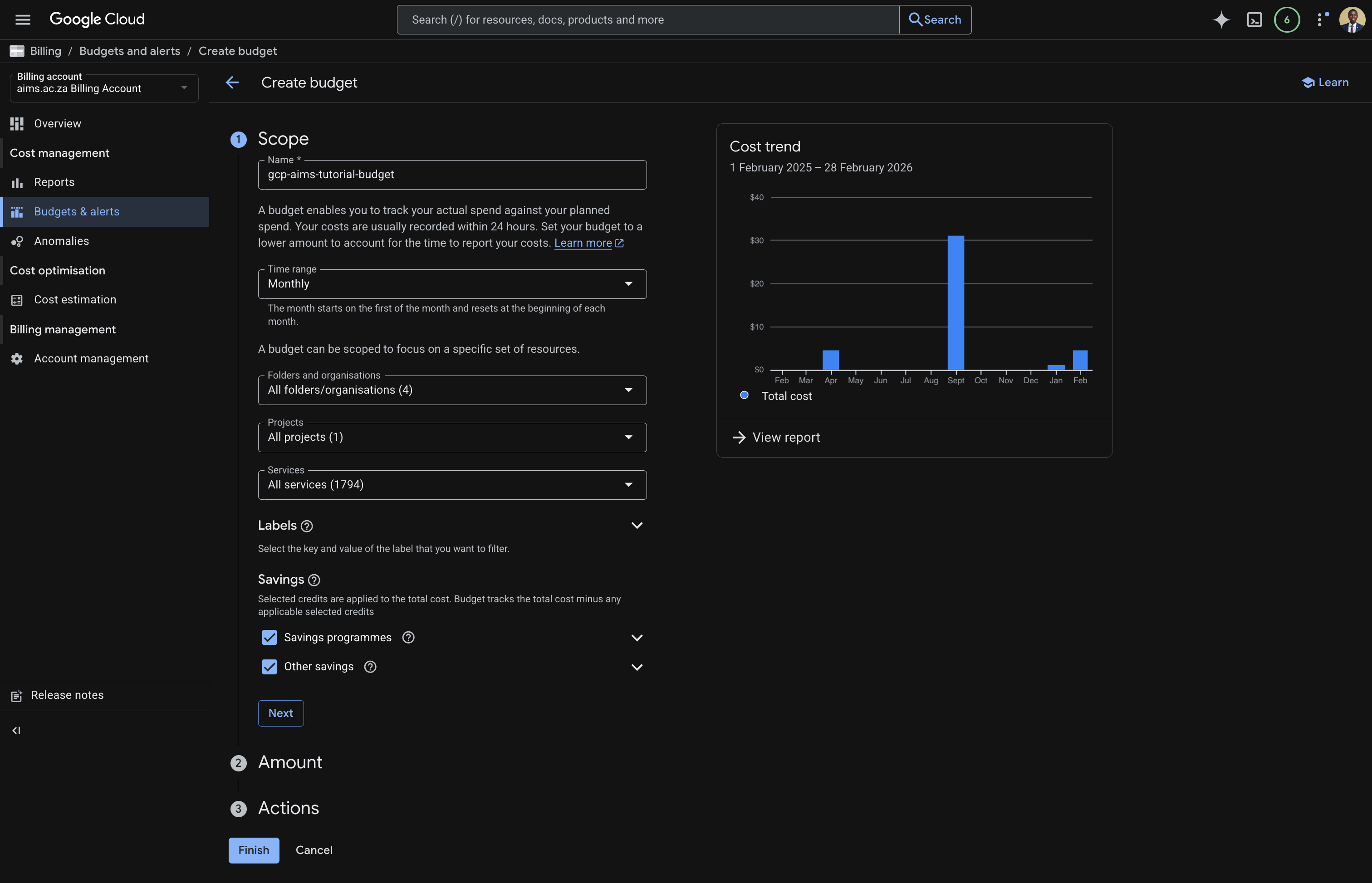 Create budget - scope