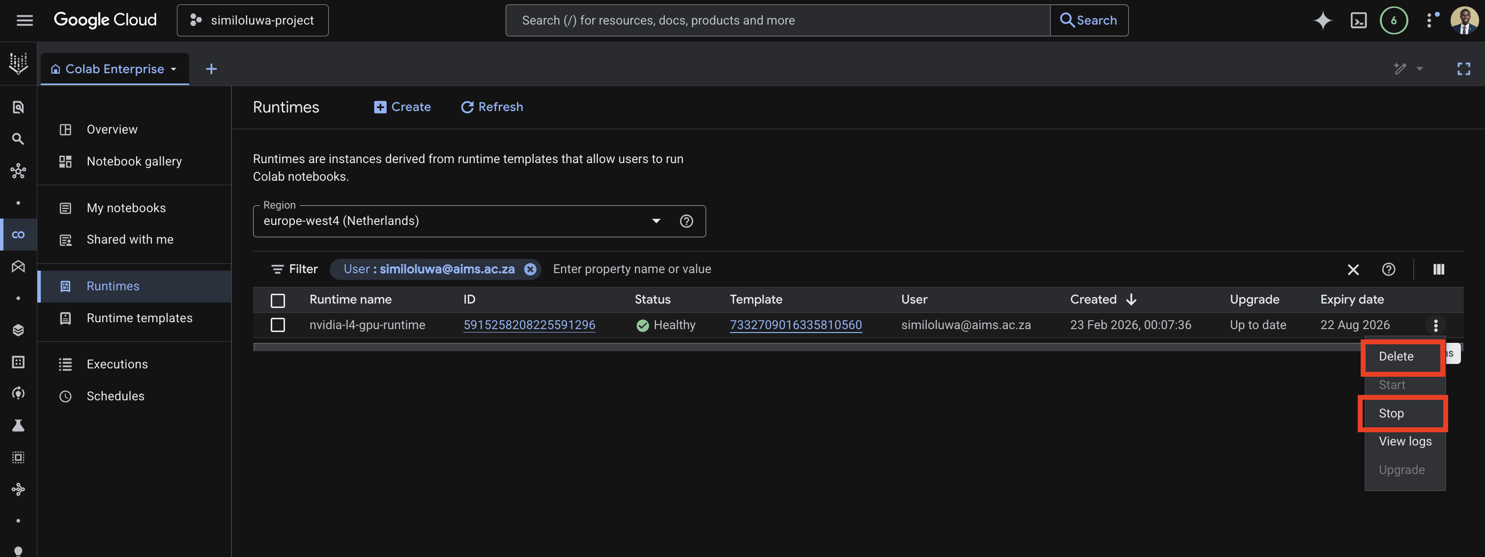 Delete the vertex AI runtime