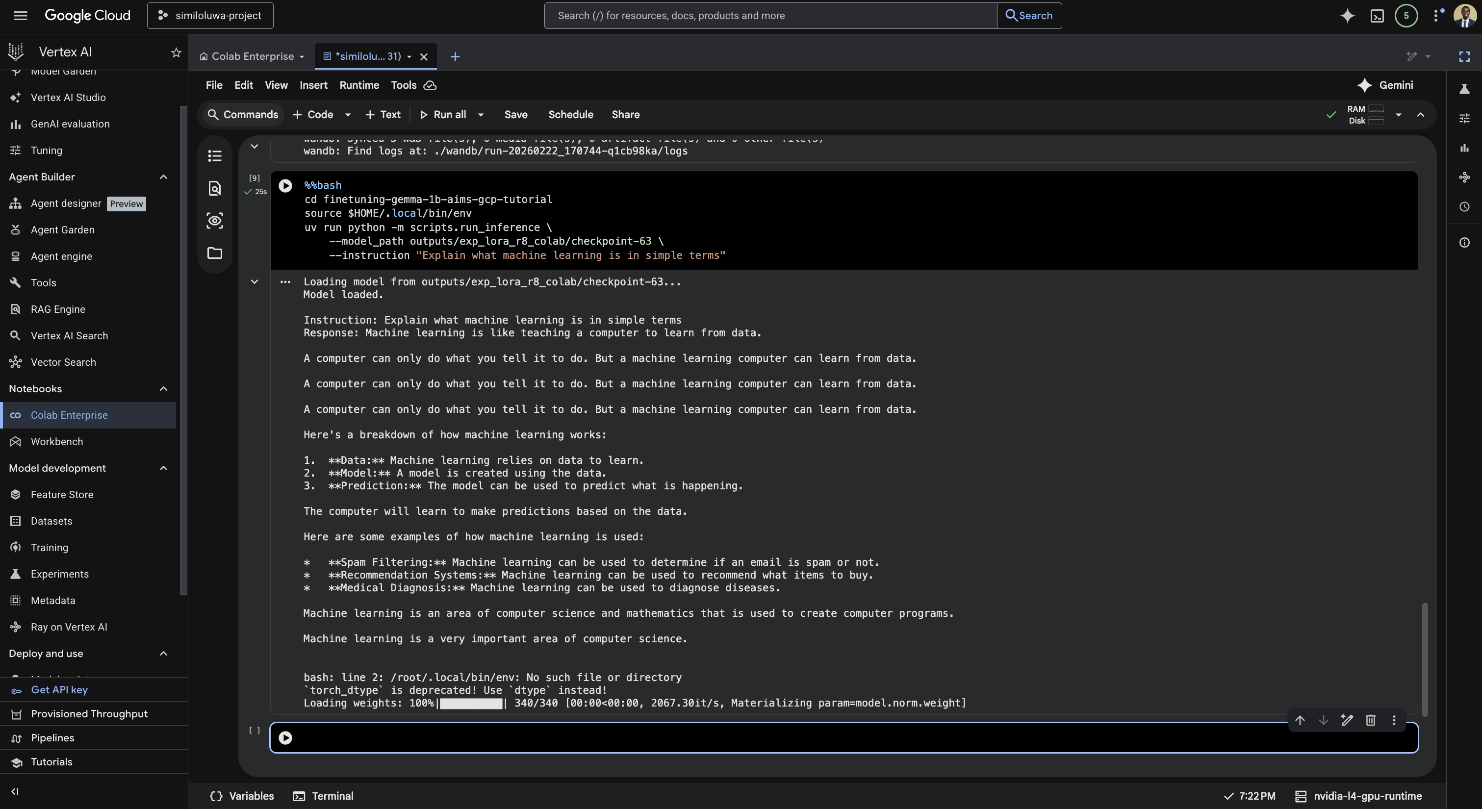 Run the inference script