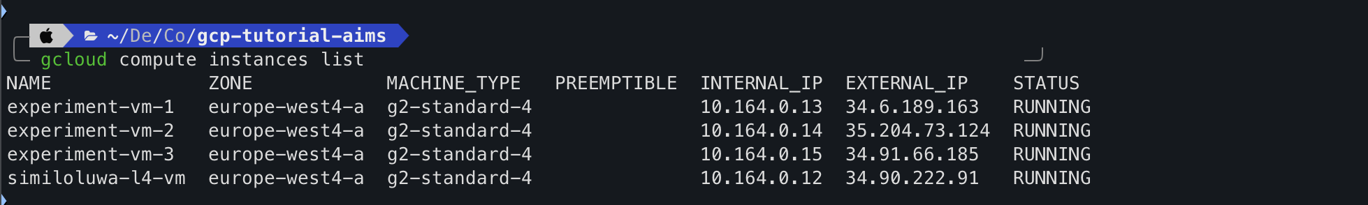 gcloud batch VMs creation